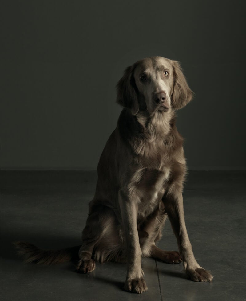 Il progetto è pensato per tutti